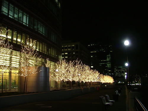 Dscf0811